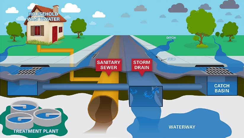 Drain vs sewer