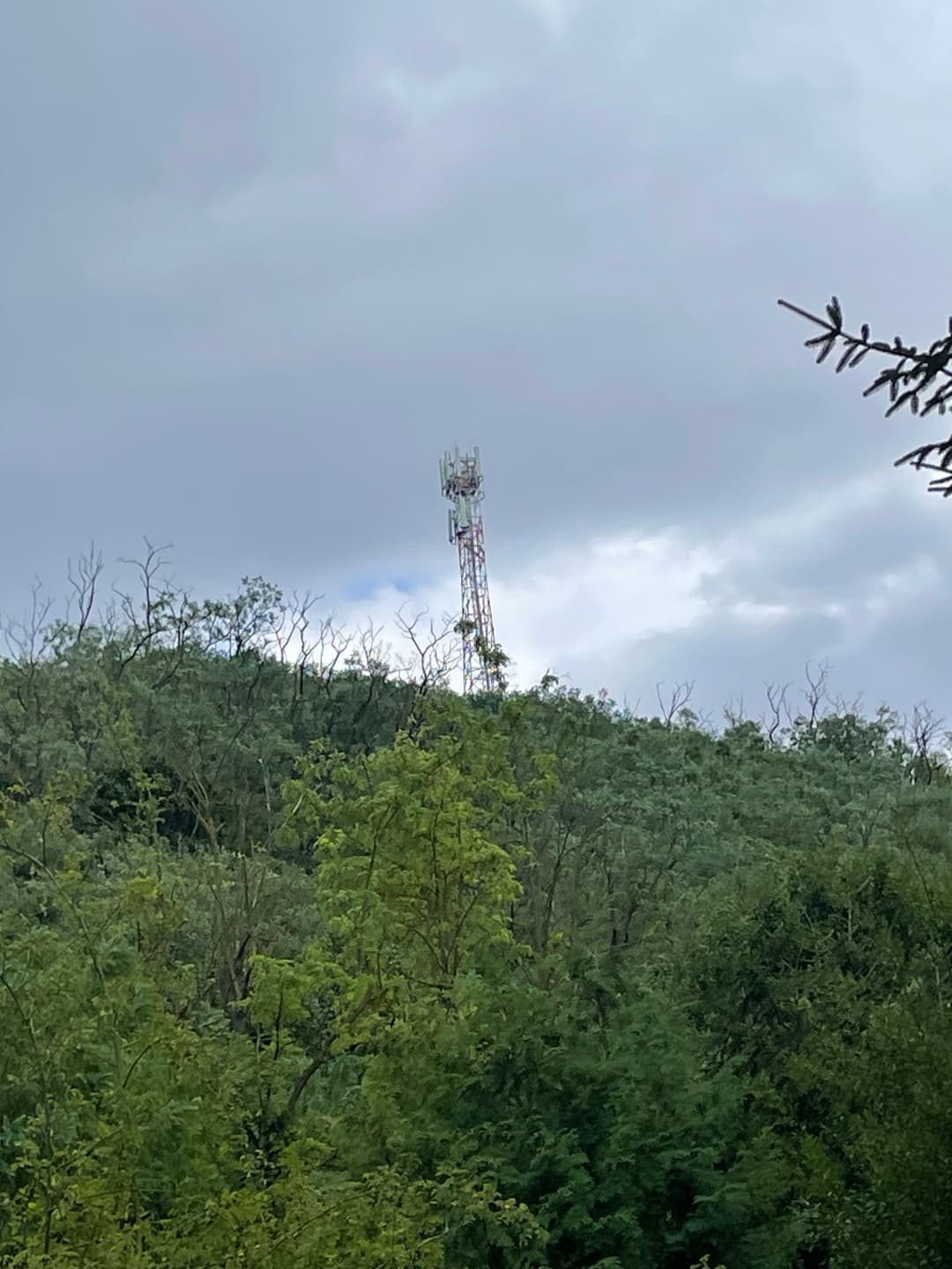 Cell tower from the viaduct