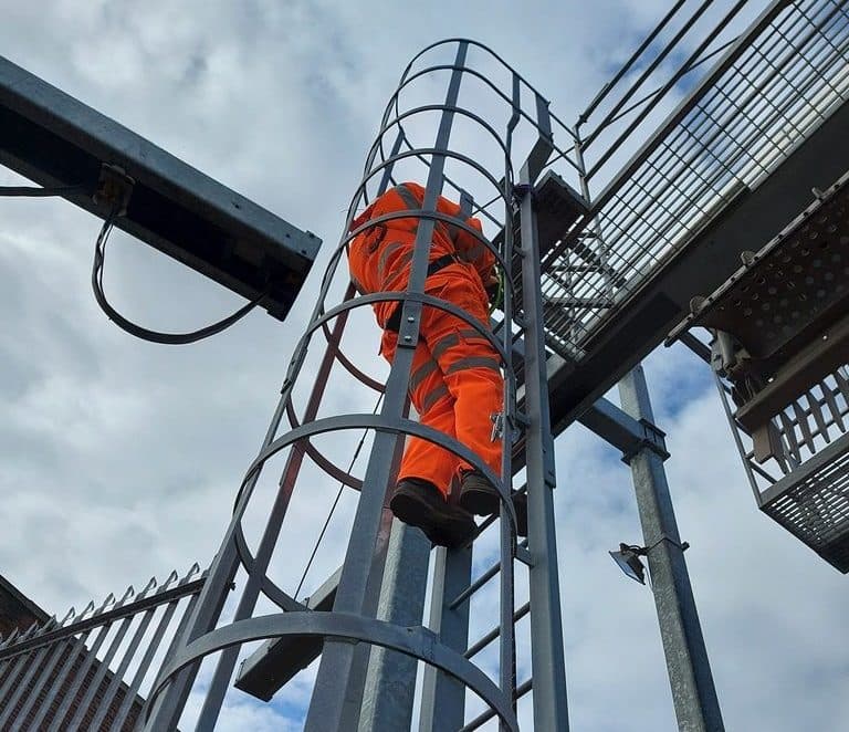 Safety cage